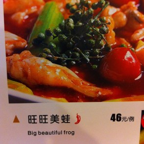 frog