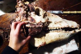 10915262_803673523024051_406610867233107280_n